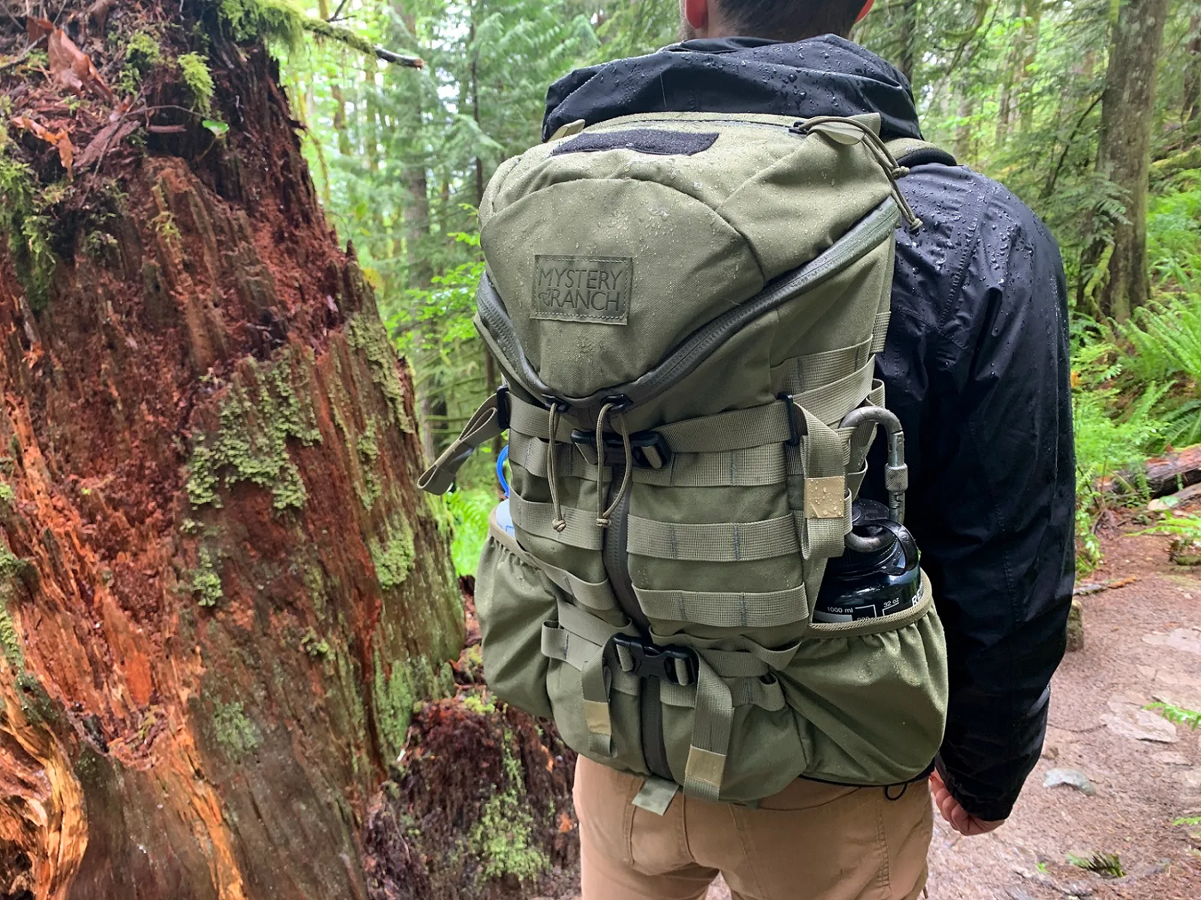 PineTrail Store -PineTrail Store 20220613 184634270 iOS