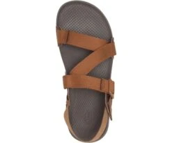 Chaco Men's Lowdown Sandal -PineTrail Store chaco mens lowdown sandal 2