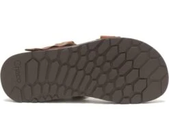 Chaco Men's Lowdown Sandal -PineTrail Store chaco mens lowdown sandal 3