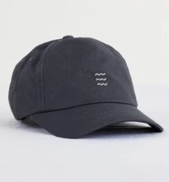 Free Fly Icon Cap