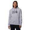 Mountain Hardwear Women's MHW Logo™ Pullover Hoody