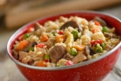 Mountain House Foods Chicken Fried Rice -PineTrail Store mountain house foods chicken fried rice 1