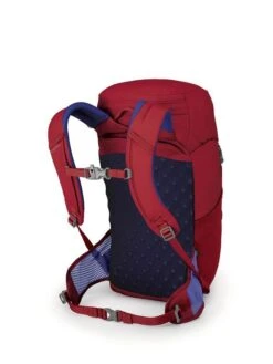 Osprey Packs Kids' Jet 18 -PineTrail Store osprey packs kids jet 18 1