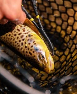 Rogue Hook Removal Forceps -PineTrail Store rogue hook removal forceps 1