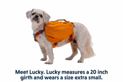 Ruffwear Approach™ Pack -PineTrail Store ruffwear approach pack 4