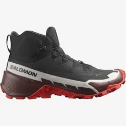 Salomon Men's CROSS HIKE 2 MID GORE-TEX
