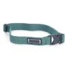 Simms Wading Belt - 1.5" -PineTrail Store simms wading belt 15